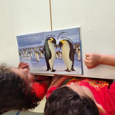 Imagem Whatsapp 2025 06 11 As 12.36.51 16b5b1a1